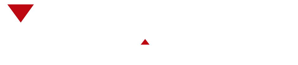 Logo_Mavicontrol_blanco