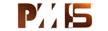 Logo PM Solutions